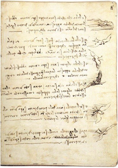 A sketch from Leonardo da Vinci