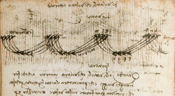 A sketch from Leonardo da Vinci